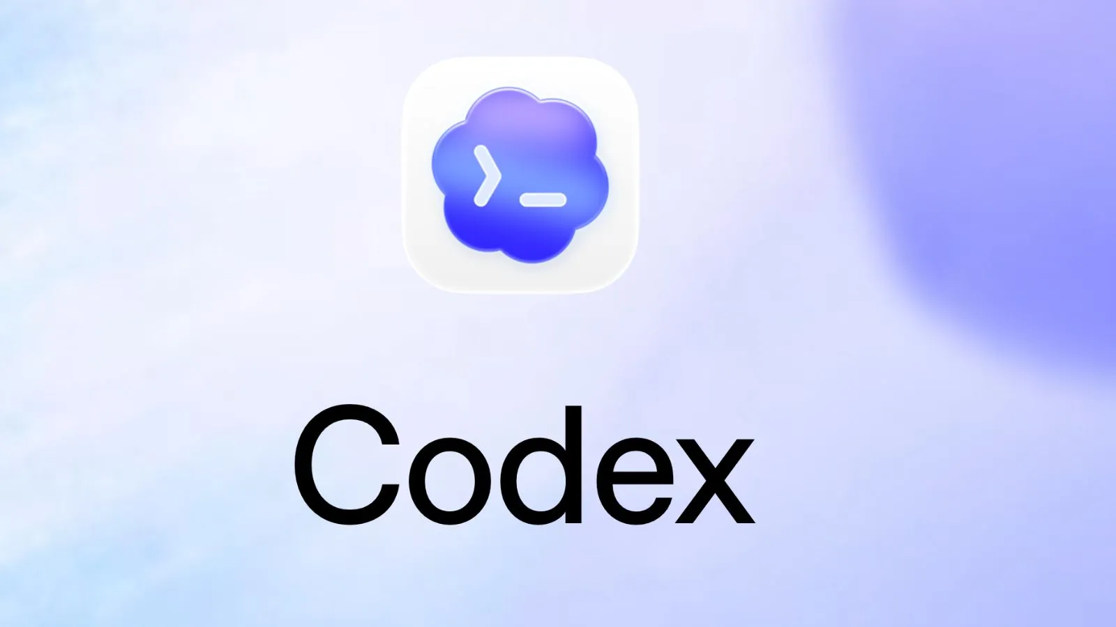 India emerges as a key Codex market with 27x user growth: OpenAI
