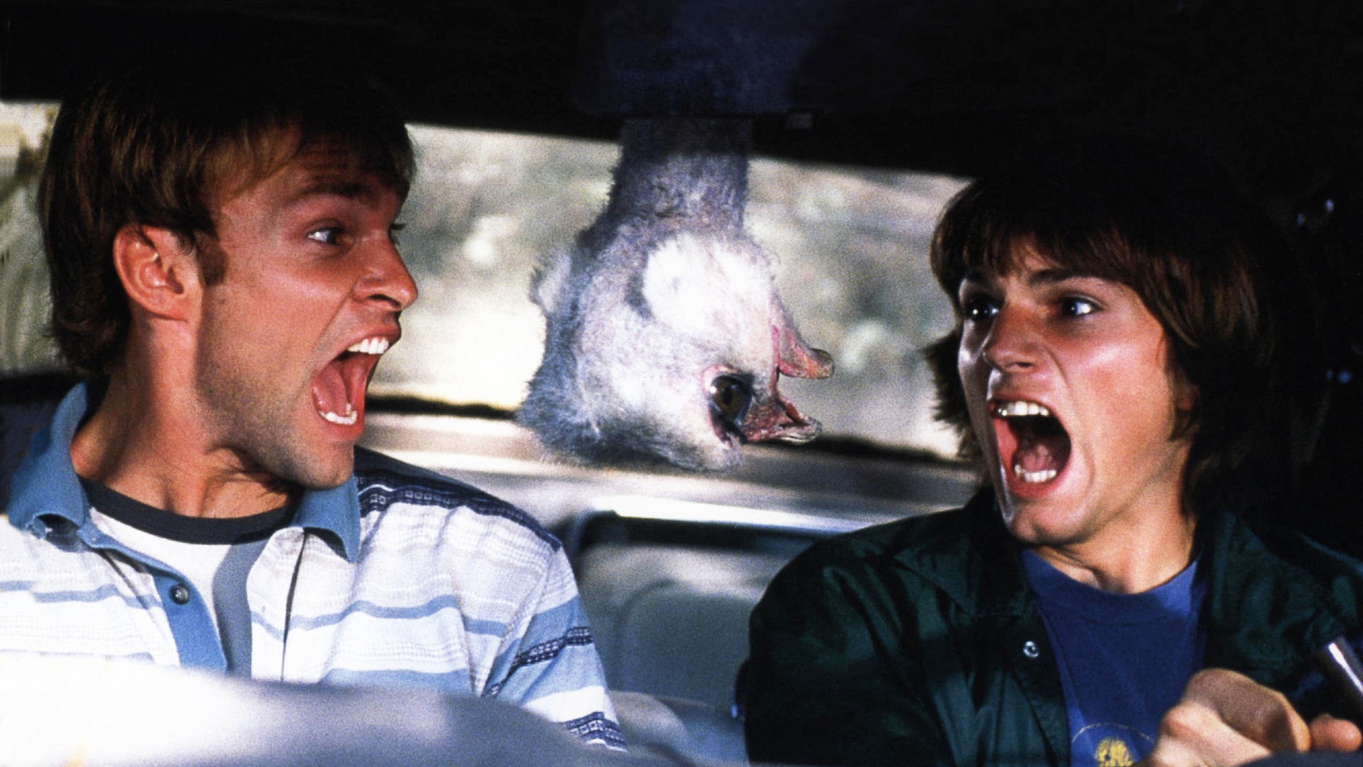 Seann William Scott and Ashton Kutcher in Dude, Where's My Car?