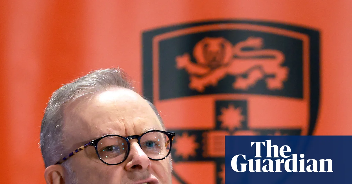 ‘Not up for grabs’: Albanese establishes AI office and vows to protect Australian creatives from copyright ‘theft’