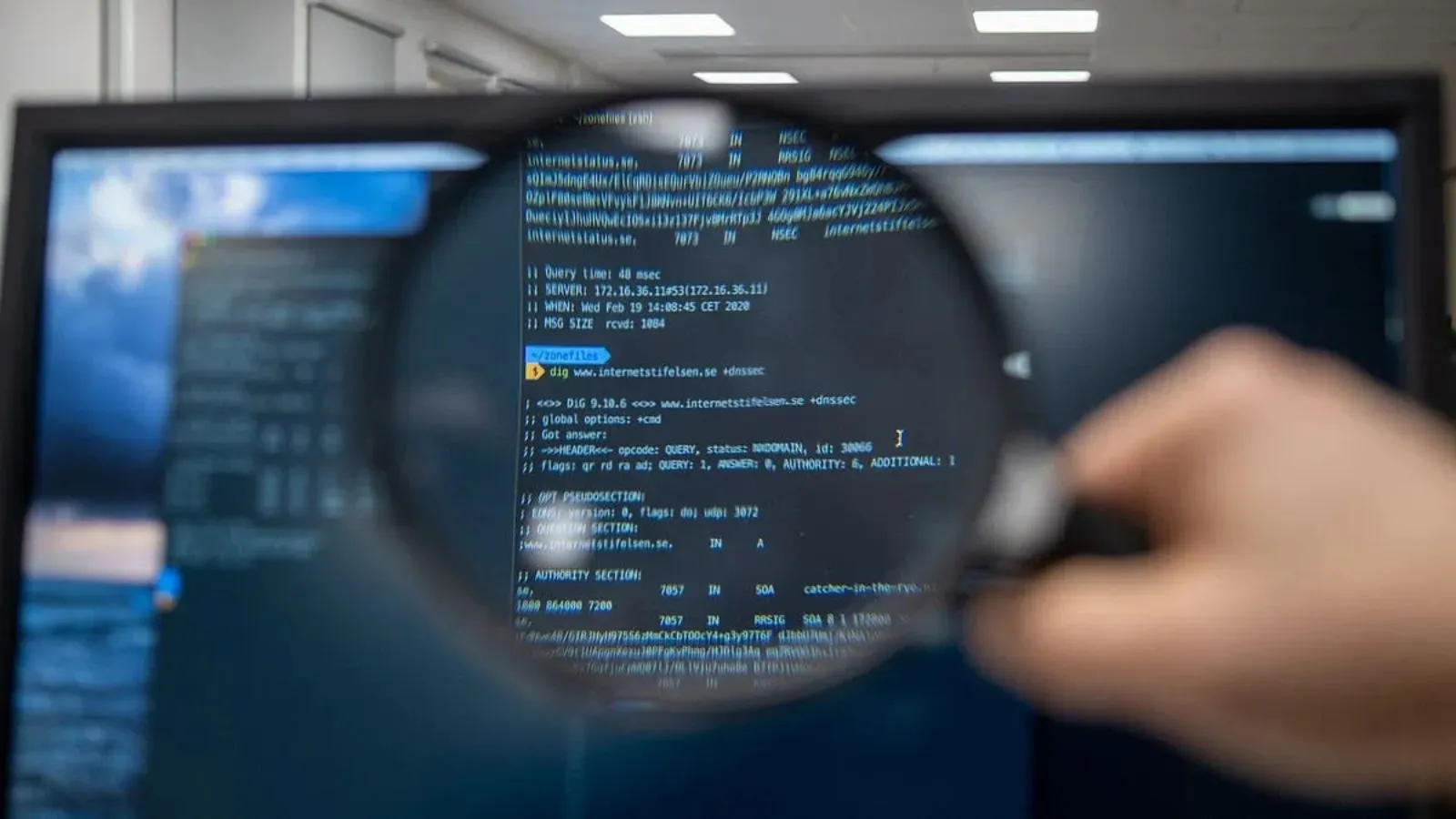 OpenAI’s GPT-5.6 Sol users report missing files, deleted databases: Here’s what we know