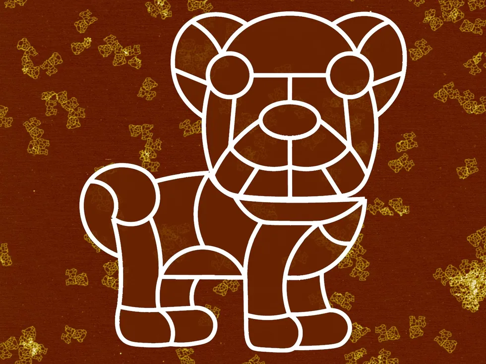 Traced outline of a Pug, surrounded by several dozen microscopic DNA structures bearing its exact shape. 