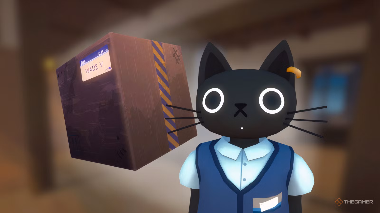 How To Repair Damaged Packages In Cat Mail Co.