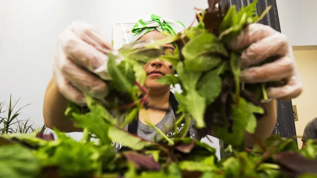 The Explosive Diarrhea Outbreak Claims New Victims: Salad Chains
