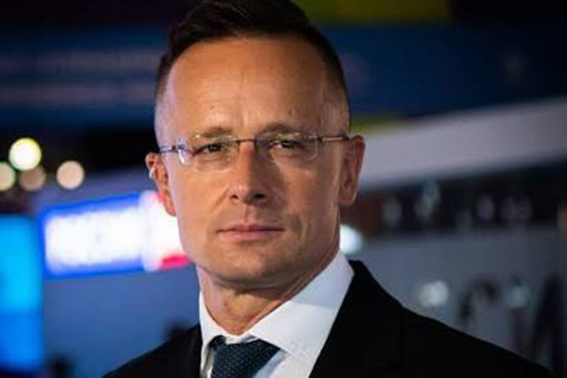 Hungary: Former foreign minister joins BYD