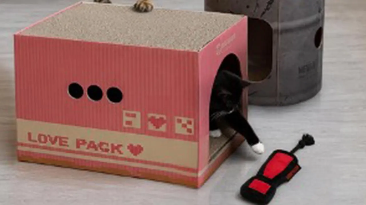 My Cat Doesn’t Care About The Metal Gear Box, Just The Box It Came In