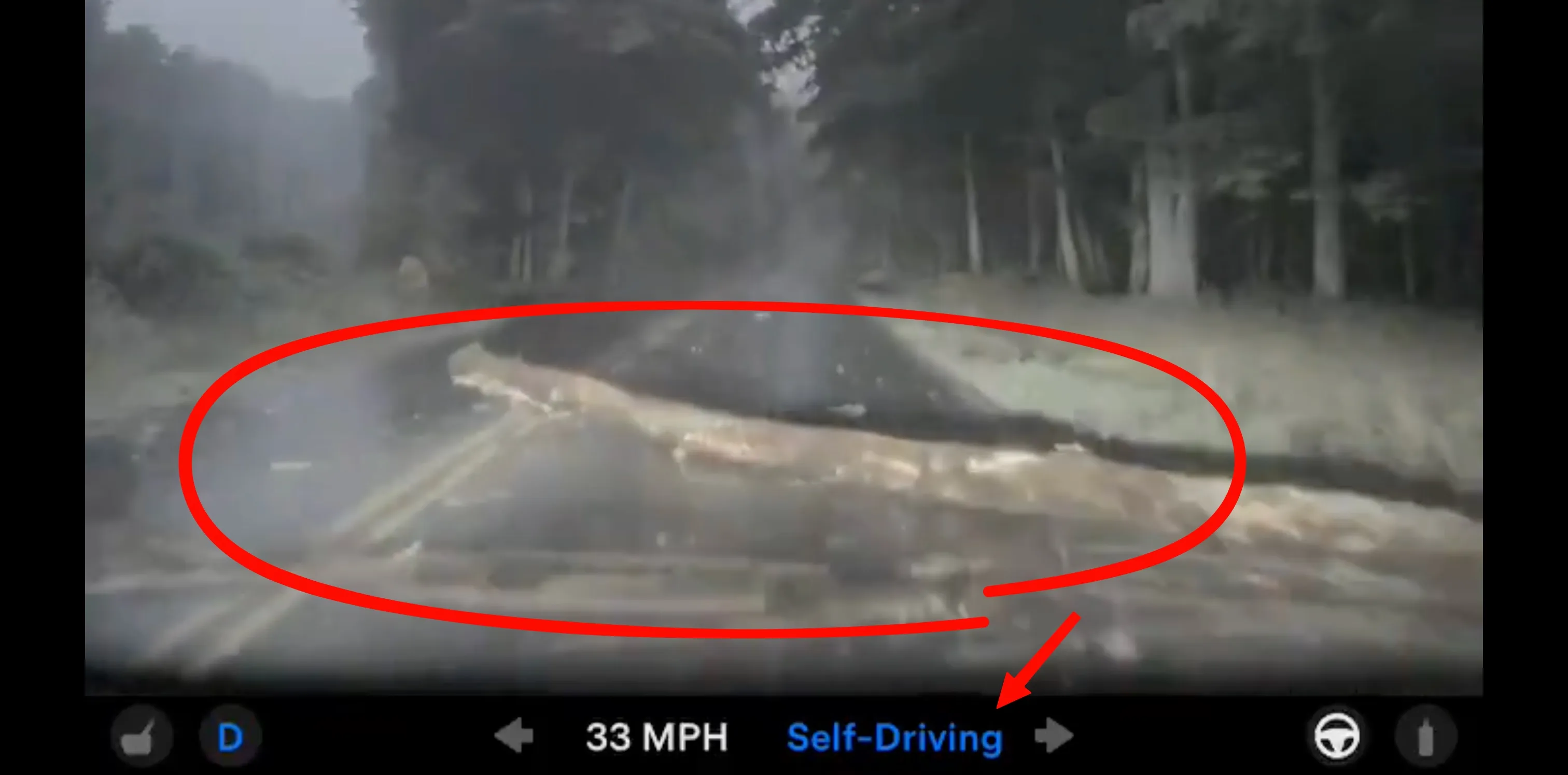 Watch Tesla FSD v14 Lite drive over a giant log without stopping