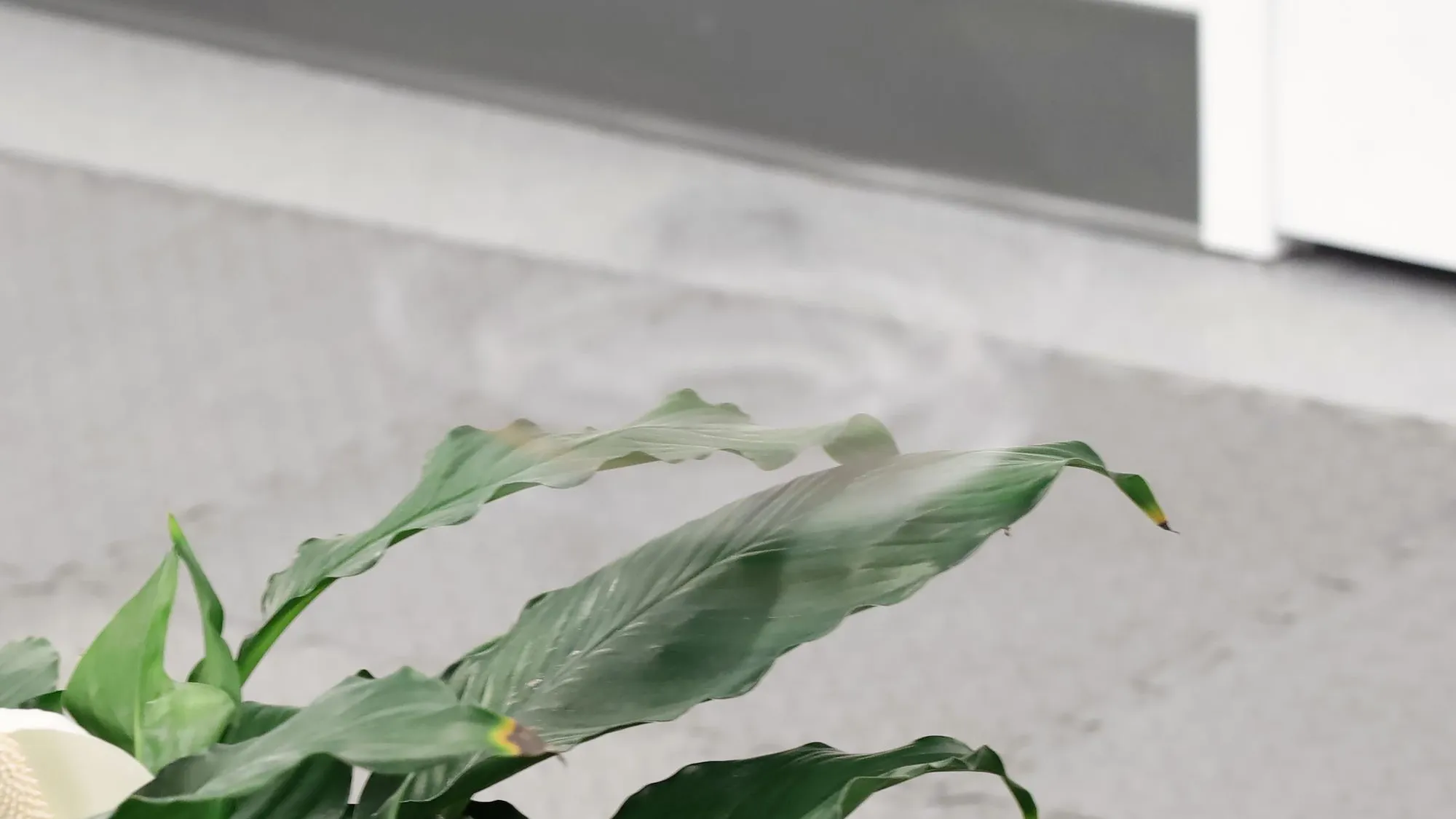 How to Make an Invisible Drone
