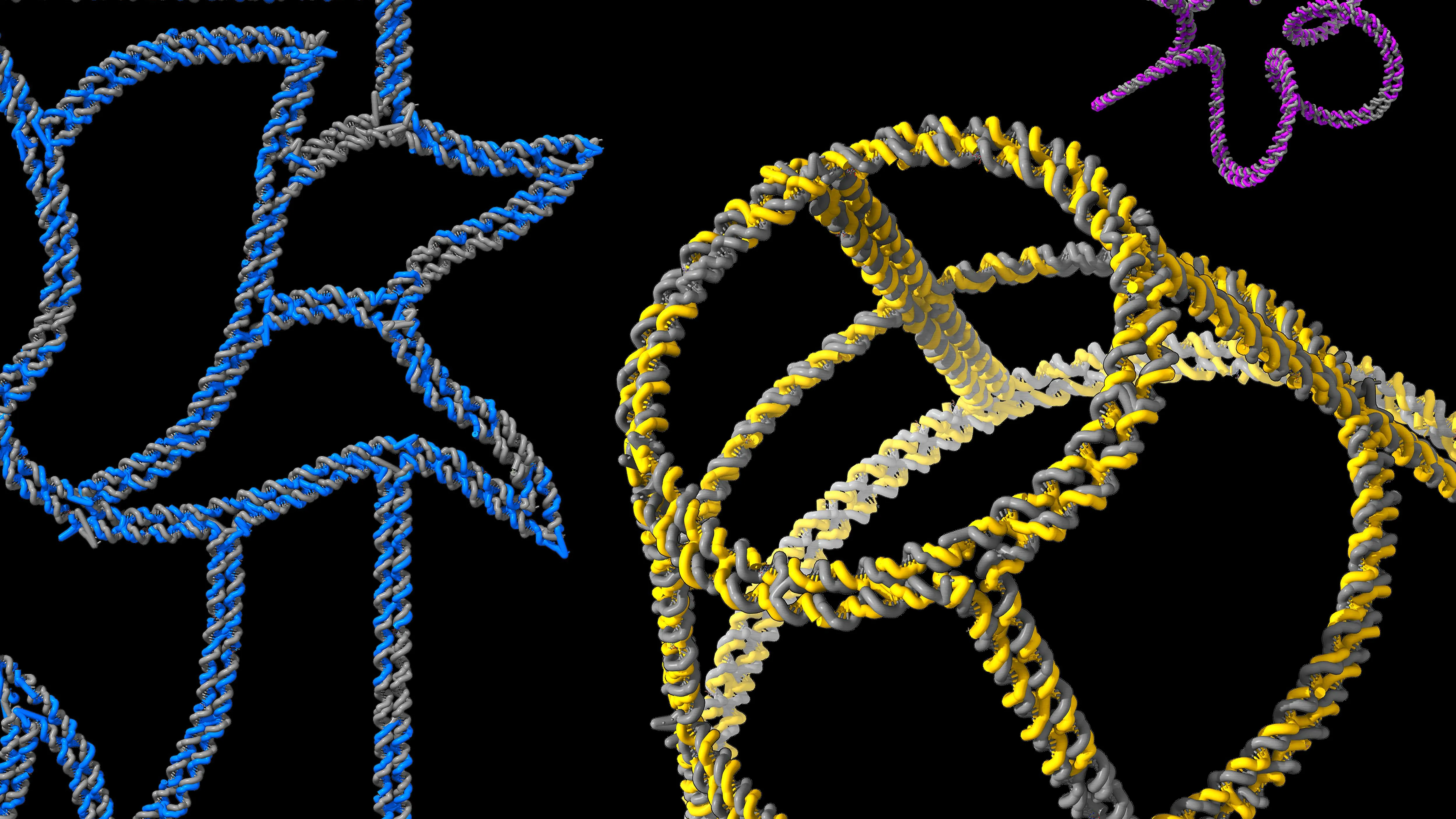 This AI Folds DNA Into Mini Masterpieces
