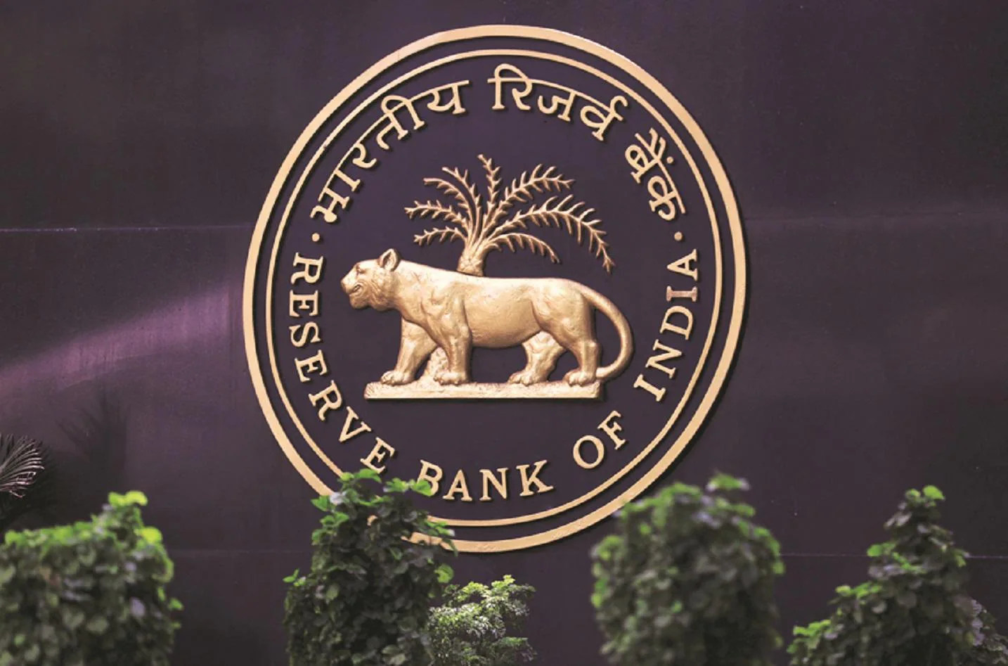 July's rainfall recovery partly eased farm risks, says RBI report