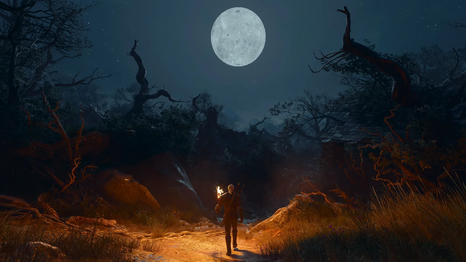 CD Projekt Red Officially Reveals First Look at New Witcher Release