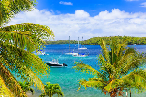 Tonga: When Remittances Become Financial Infrastructure