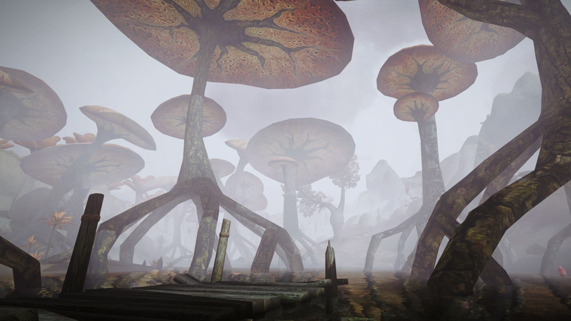 Morrowind's most ambitious mod is now available in 1 click on GOG, alongside a 60% sale on the 24-year-old Elder Scrolls RPG